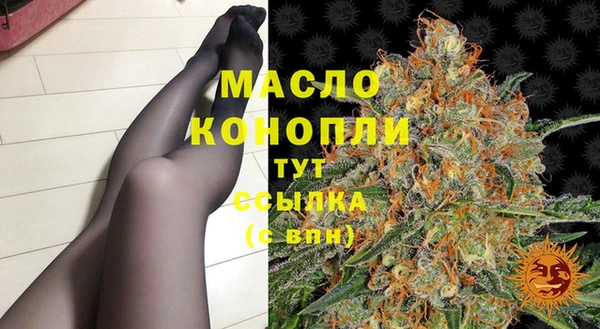 индика Армянск